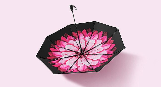 ���¹ٷ���Ş��